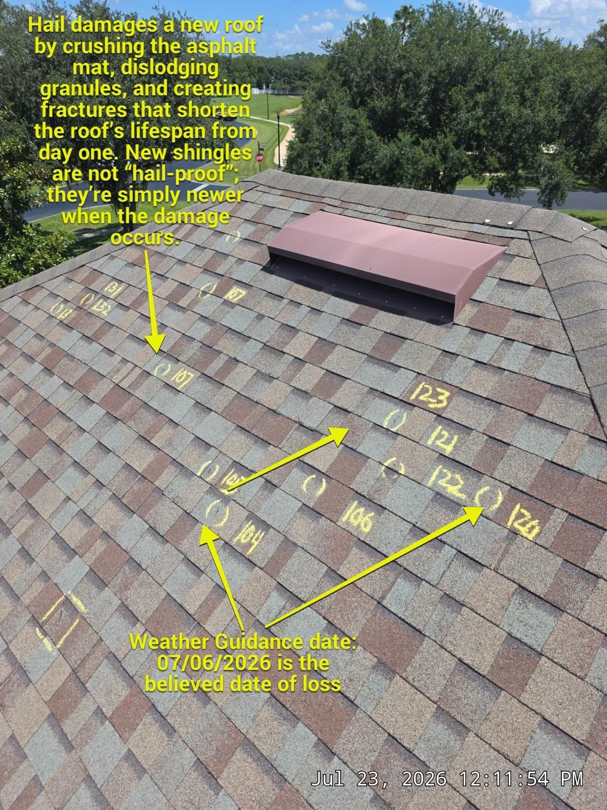 Roof quality inspection